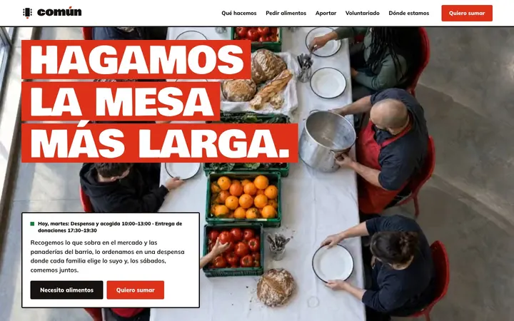 Tema Común, ejemplo de diseño web para ong y fundaciones