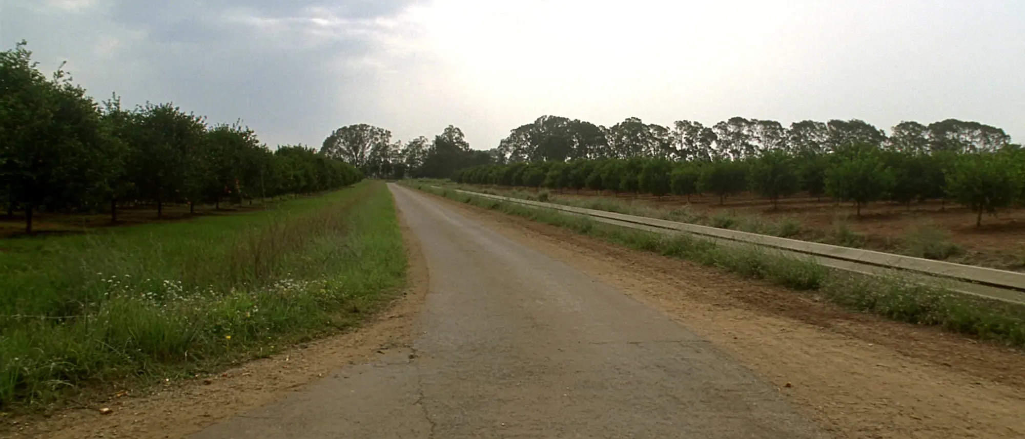 Paseo del azahar