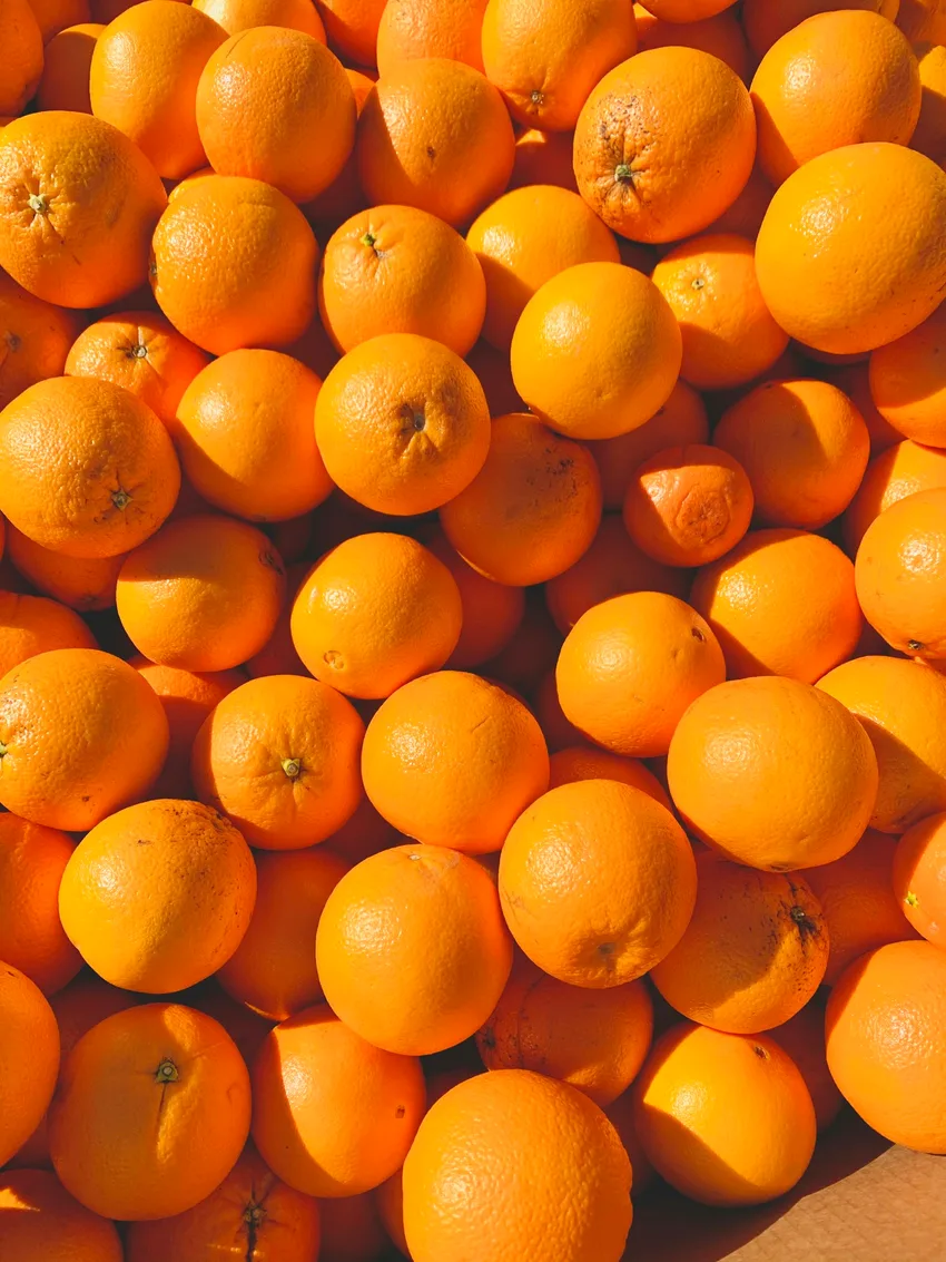 Naranjas frescas con piel de color intenso