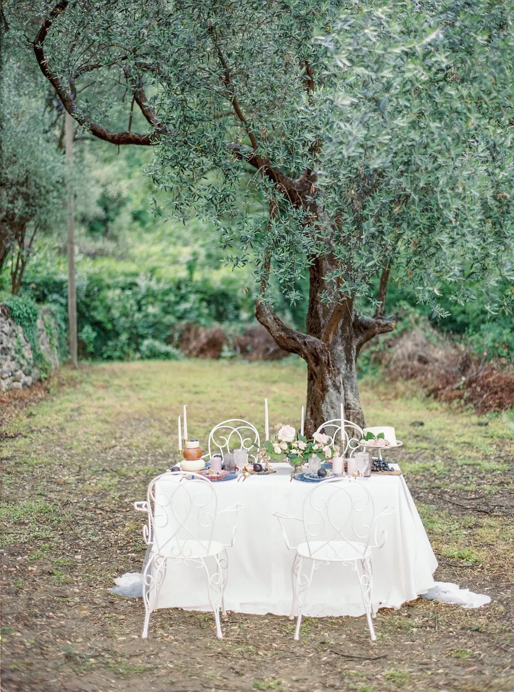 Mesa para una comida íntima bajo un olivo, con mantel blanco y sillas de forja